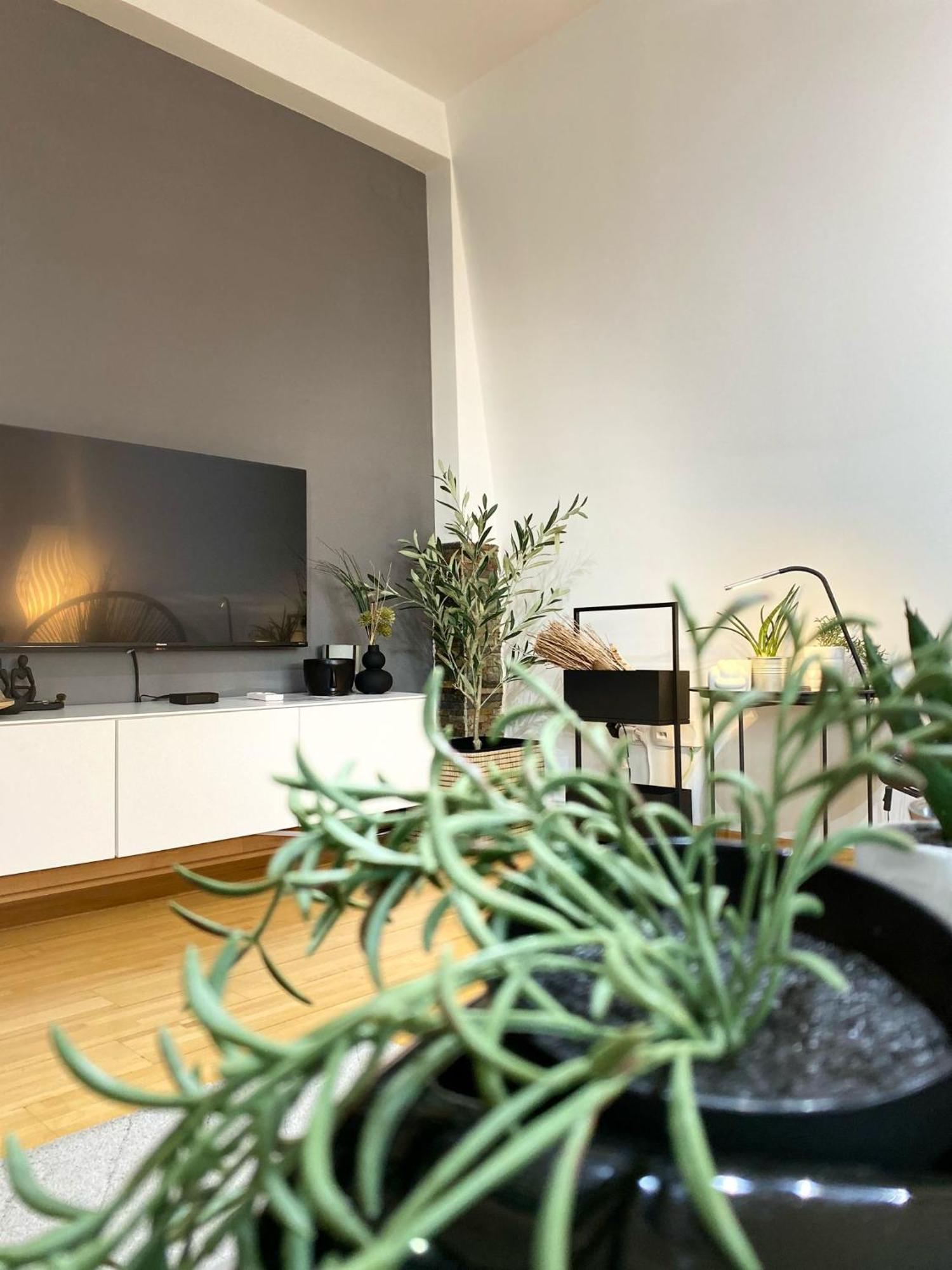 Apartman Riva Kraljevo Buitenkant foto